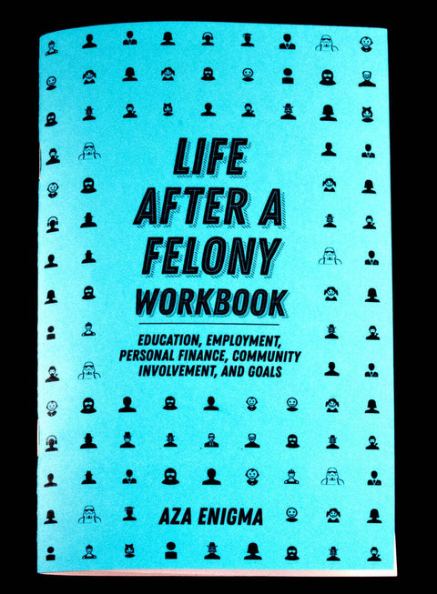 Life After a Felony Workbook